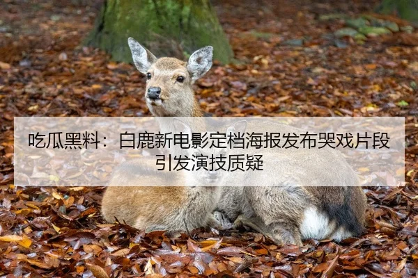 吃瓜黑料：白鹿新电影定档海报发布哭戏片段引发演技质疑